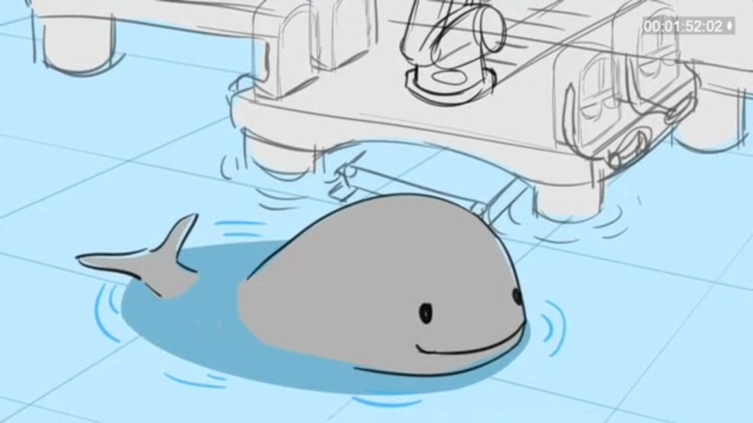 Abi Story - WhaleRescue